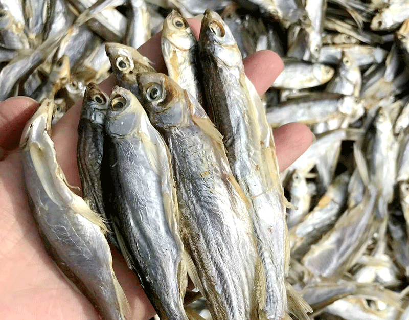 風(fēng)干小魚